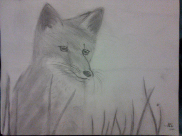 Fox