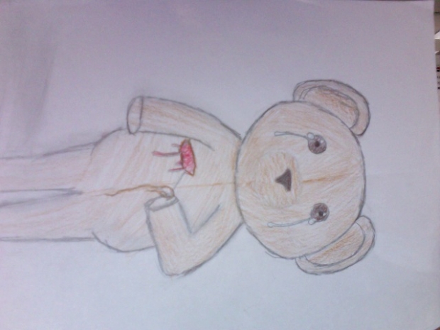 The Broken Heated Teddy Bear