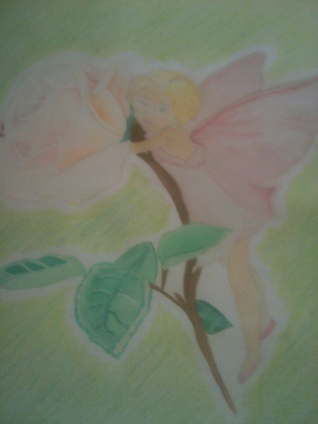 Rose Fairy
