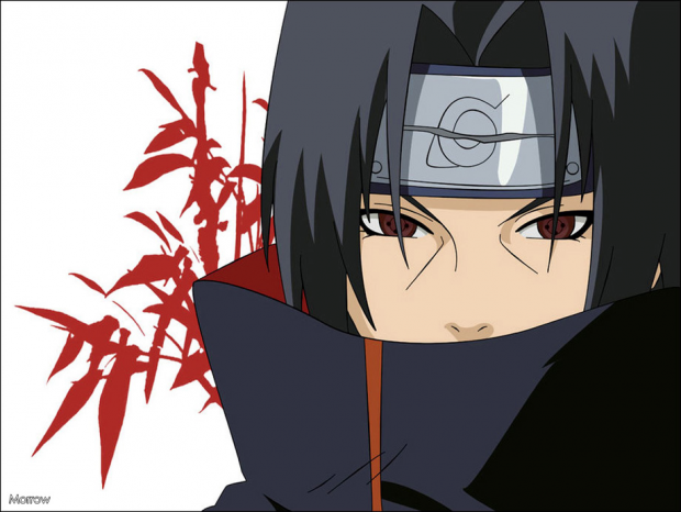 I just wanted to protect you.