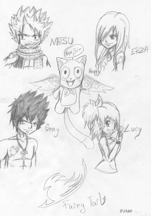 Fairy Tail Team Natsu