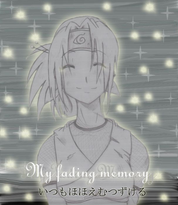 My Fading Memory