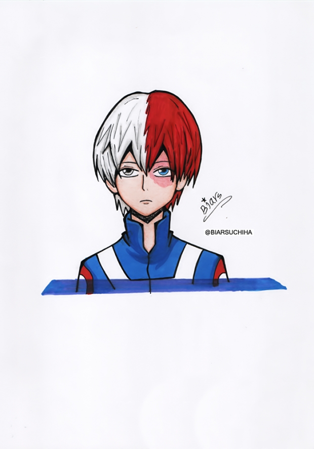 Todoroki Shouto
