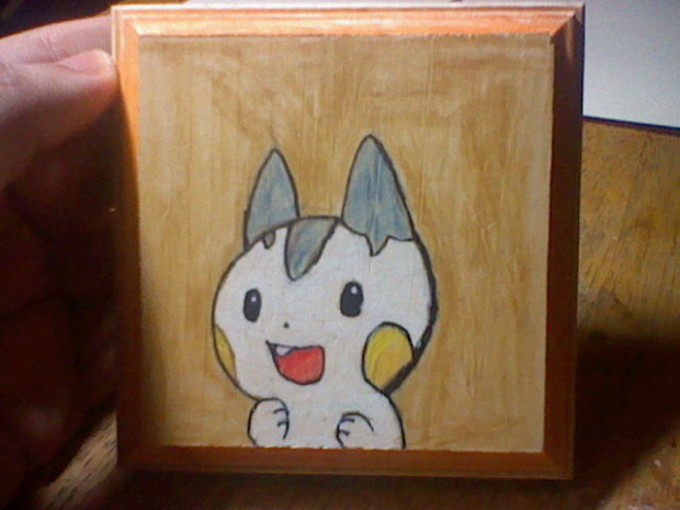 pachirisu