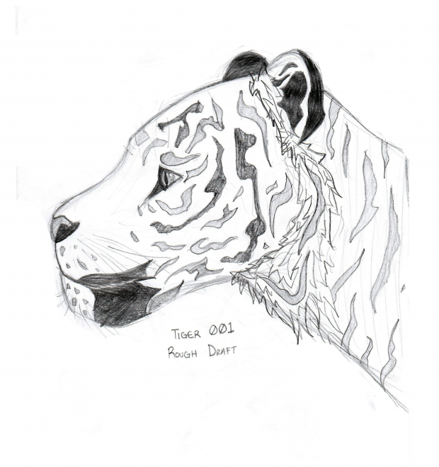 Tiger (Rough Draft)