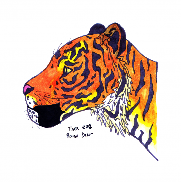 Tiger (Final Draft (Color))