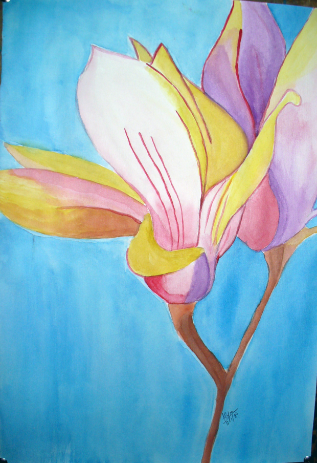 Lily Watercolor