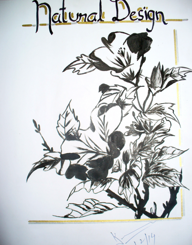 College Art Class: Natural Design