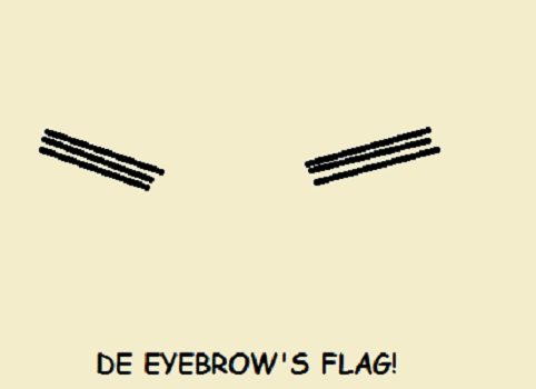 Eyebrows Flag