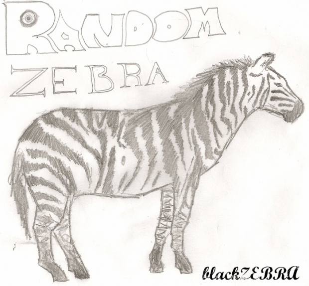 Random Zebra