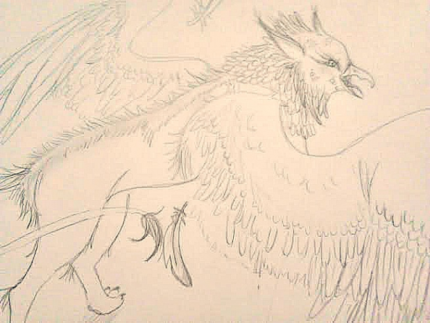 Griffon
