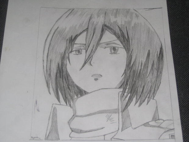 Mikasa