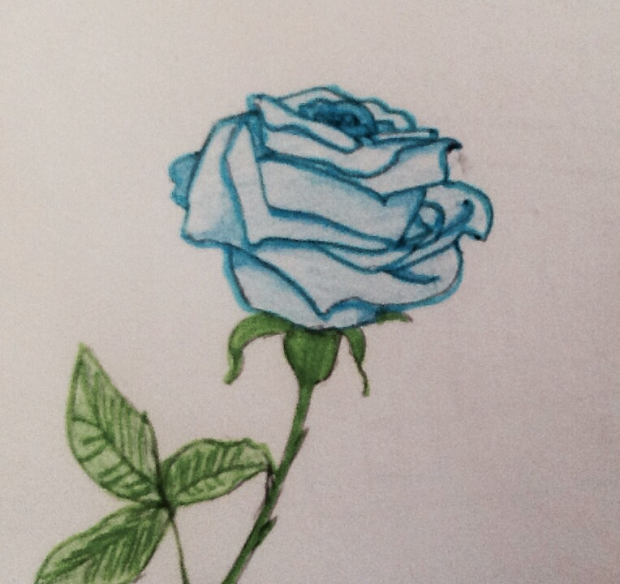 Rose (colored)