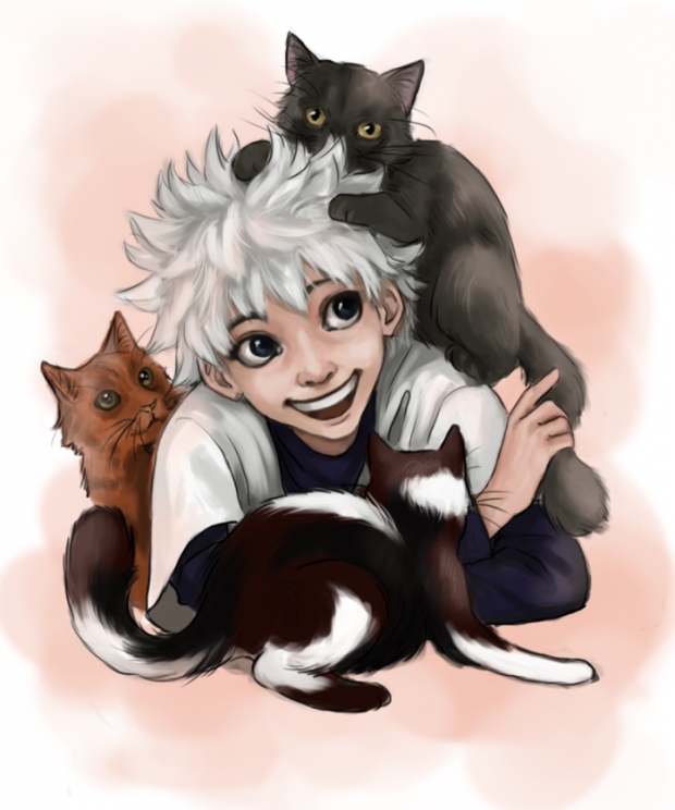 Killua with cats
