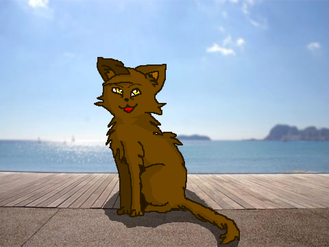 First Cat Drawing
