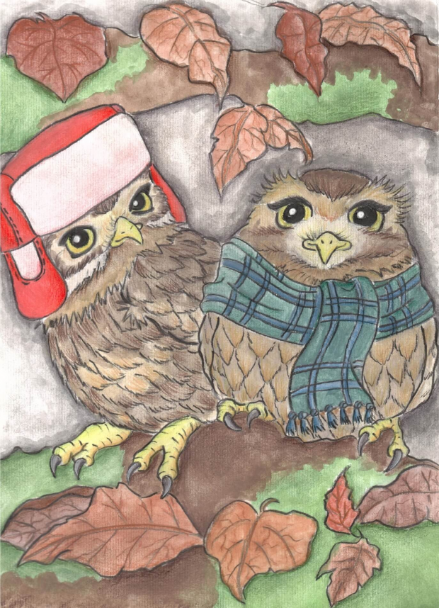 Autumnal Little Owls