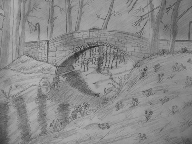 Bridge Drawing