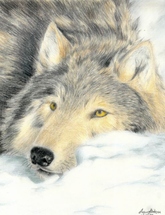 Art Contest Submission^^