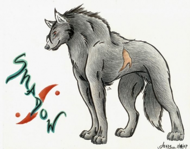 Request For The Black Dog