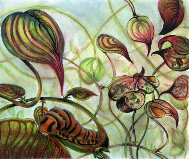 This Is Where The Bugs Live