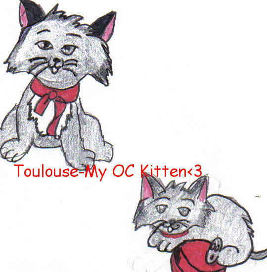 Berliozmy Kh Oc Kitten