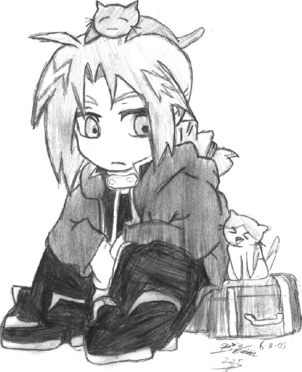 Cats Are Invading!!!!