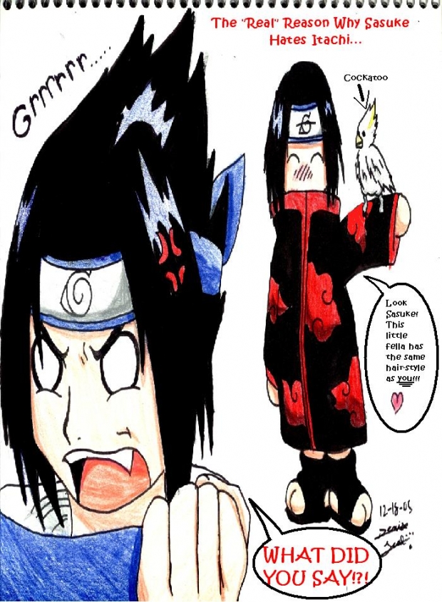 Why Sasuke Hates Itachi
