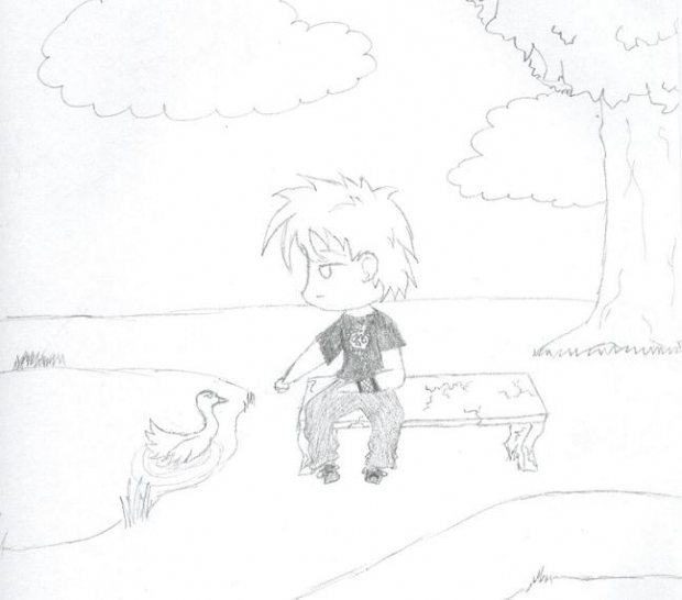 Don't Feed The Ducks...