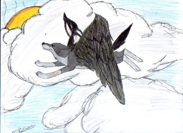 Someday, I'll Fly Away