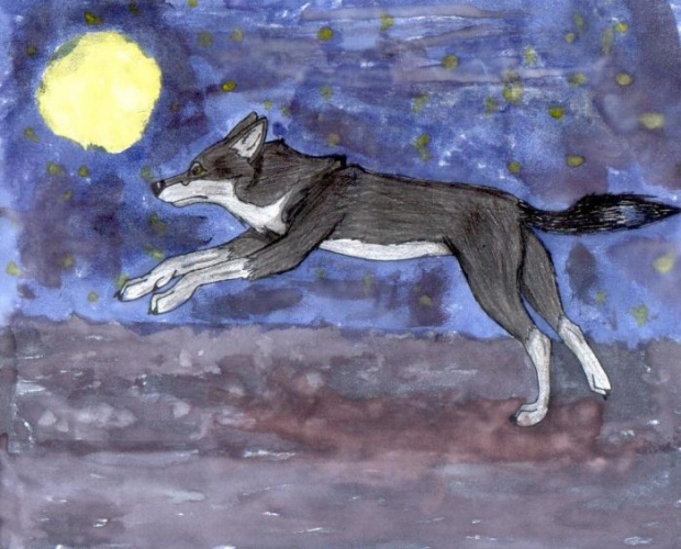 Run Wolf Warrior Run....