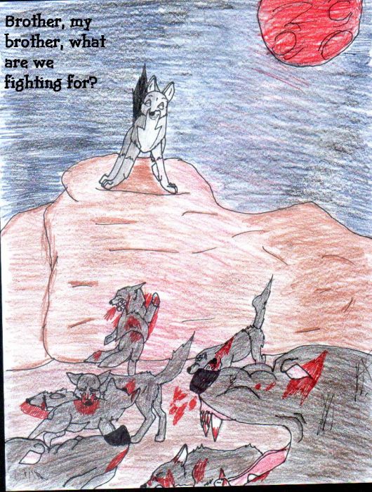 What Are We Fighting For?