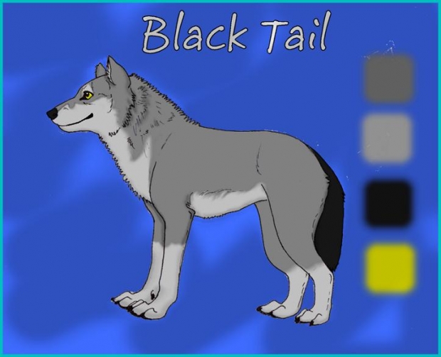 Black Tail Reff Sheet