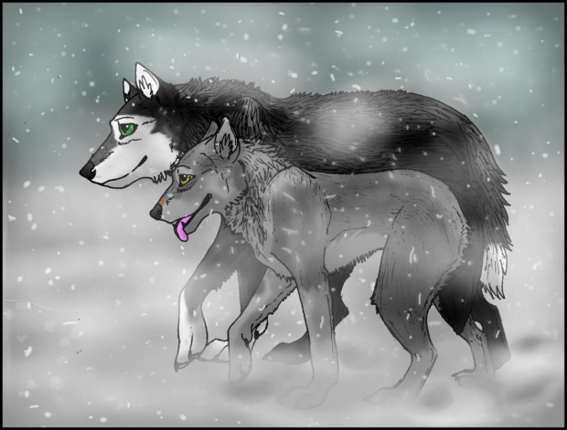 We've Walked A Long Time....