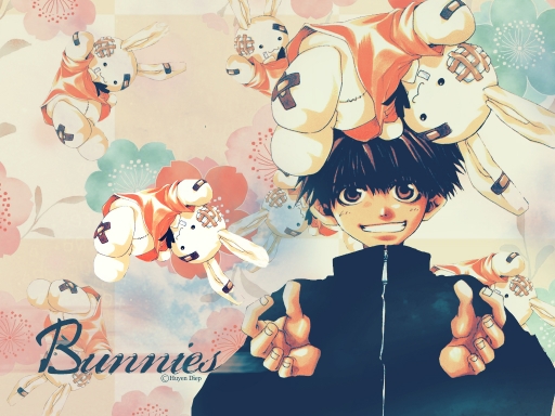 Goku - Bunnies