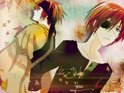 Lavi - The Way You Are