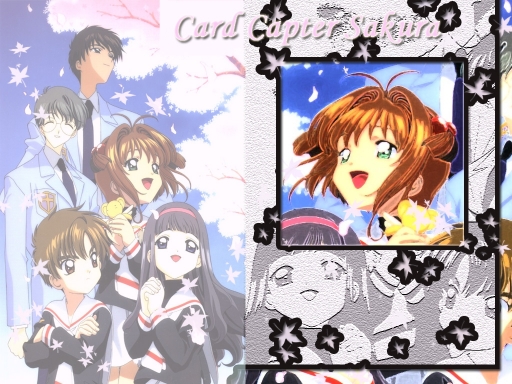 Ccs Wall