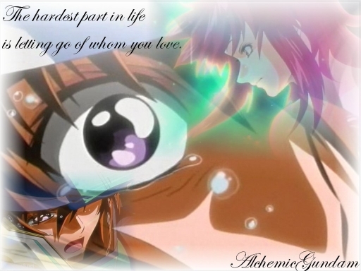 50th Episode Memorial