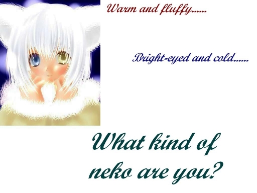 What kind of neko are you?