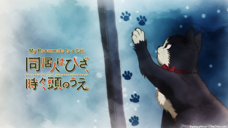 My Roommate Is A Cat - Wintert