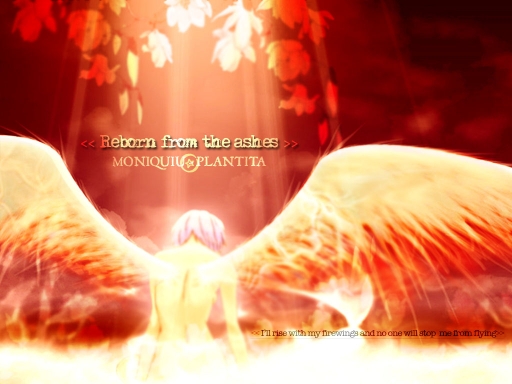 Reborn from the ashes