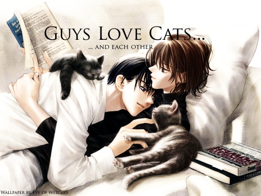 Guy's Love Cats
