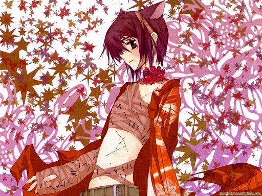 Loveless By Sunfalle