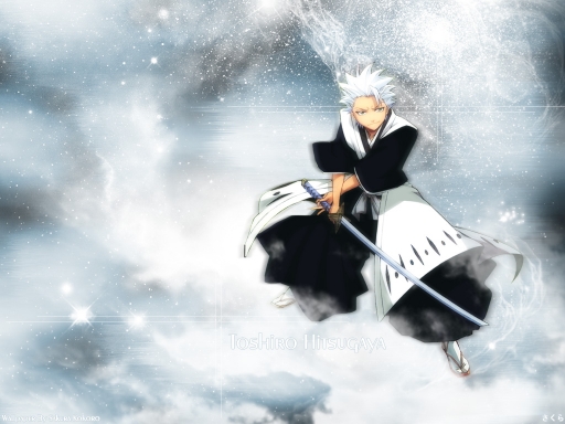 Toshiro-starlit Warrior