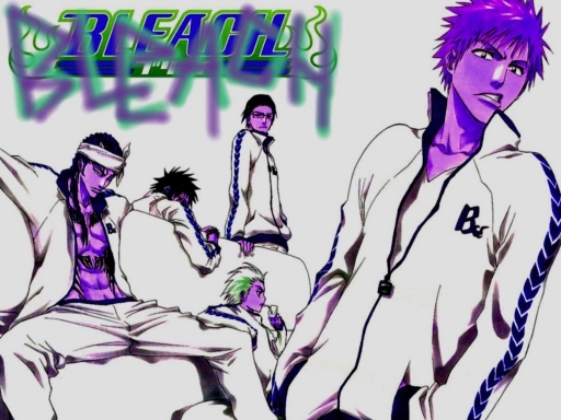 Bleach