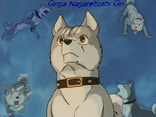 Ginga Nagarboshi Gin