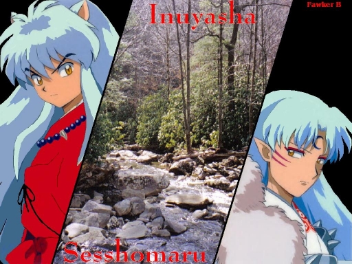 Inuyasha And Sesshomaru