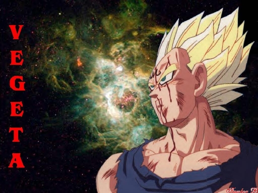 Vegeta Starbirth