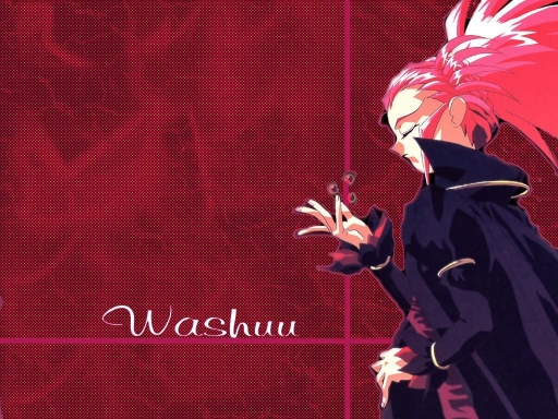 Washuu