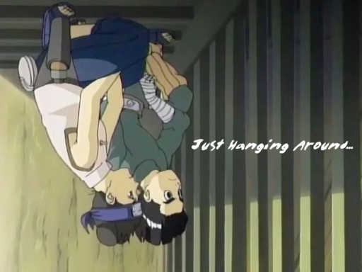 Just Hanging Around...