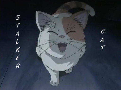 Stalker Cat